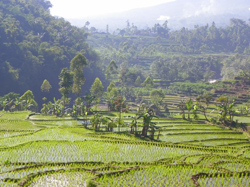 Planst du gerade deinen Indonesien-Urlaub? Du solltest auf keinen Fall die indonesische Insel Java auslassen. Dieser Artikel bietet dir über 20 Optionen für das Erstellen einer Reiseroute für Java inklusive Karten!